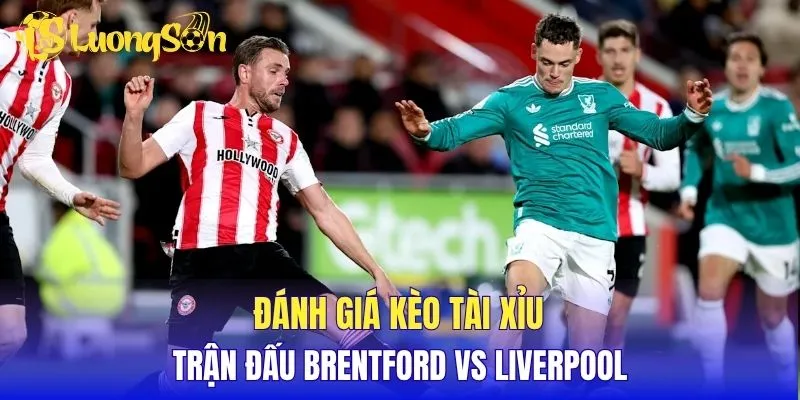 Đánh giá kèo tài xỉu trận đấu Brentford vs Liverpool