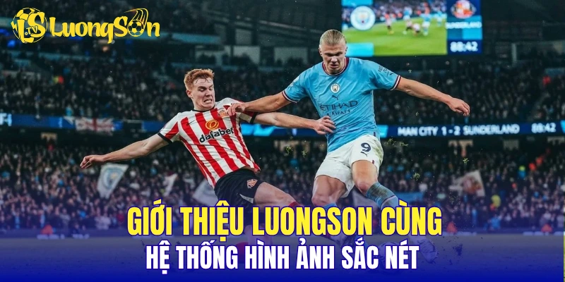 Giới thiệu LuongSon cùng hệ thống hình ảnh sắc nét