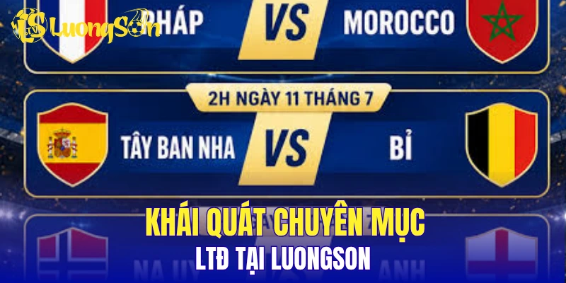 Khái quát chuyên mục LTĐ tại LuongSon