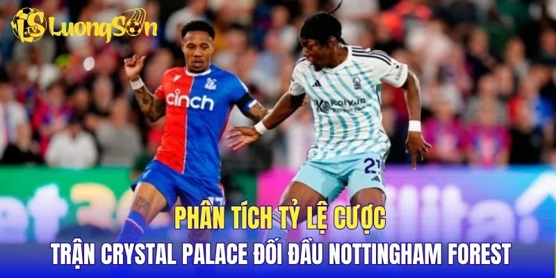 Phân tích tỷ lệ cược Crystal Palace đối đầu Nottingham Forest