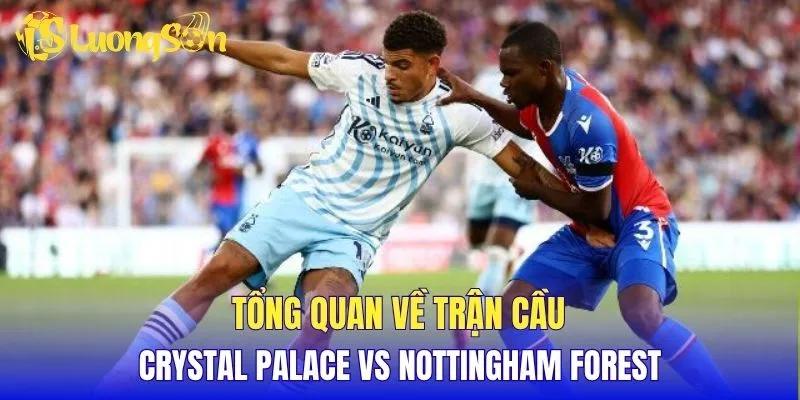 Tổng quan về trận cầu Crystal Palace vs Nottingham Forest